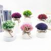 Plastic Veronicastrum Caulopterum Flower Pot With Rope Butterfly Tie For Home Decor And Garden Display