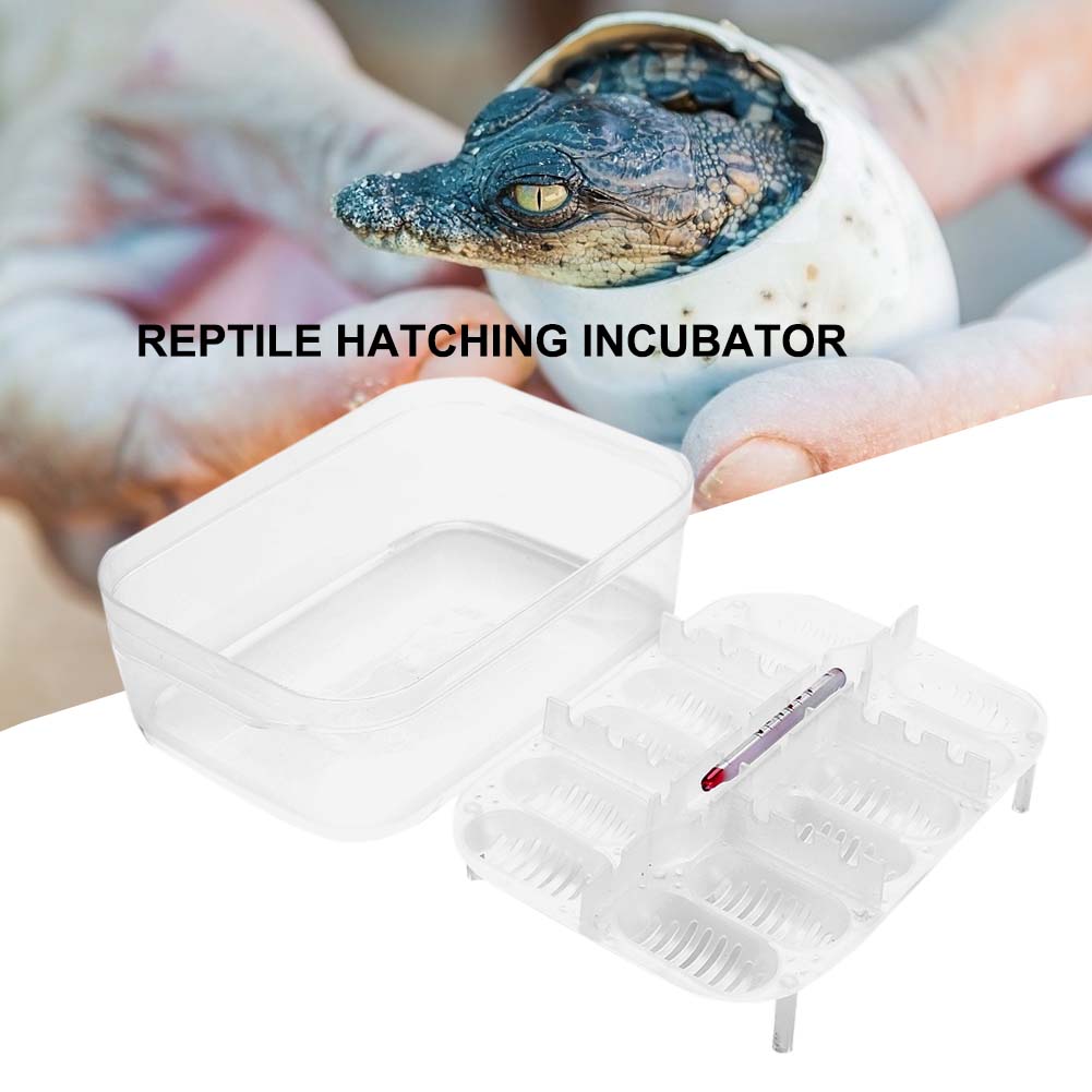 12 Grids Reptile E-egg Incubation Tray Tray Gecko Lizard Snake Eggs Incubation Insect Keeping Box Incubator Tray Breeding Tool