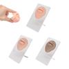 3pcs Simulated 3D Mouth Model Piercing Practice Silicone Mouth Model with Acrylic Stand for Display