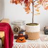 Halloween Pumpkin Resin Figurine - Mini Cute Pumpkin Statue with Hat, Home Decor for Cabinet, Living Room, Party