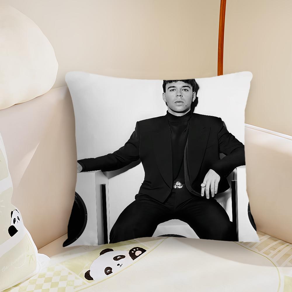 Hot Singer QQuevedo cushion cover Pillow Case Plush Fabric Soft Double Sided Print Sofa Cushion Cover Throw Pillow Covers