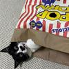 PopcornBag Cat Tent Toy PlayTunnel Tent House Dogs Kraft Paper Bag Hideaway Tunner Boredom Pet Indoor Entertainment Toy