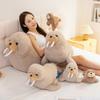 Bebek ve Peluş Oyuncaklar – Doldurulmuş ve Peluş oyuncak hayvanlar