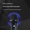 FionTu AT-SS410 Professional Wireless Dual Handheld Microphone System (CN version)