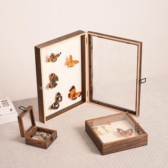 Dobře viditelná vitrína Velký stínový box na hmyz Dřevěná konstrukce Více velikostí Hladký okraj Vzorky hmyzu Úložná vitrína