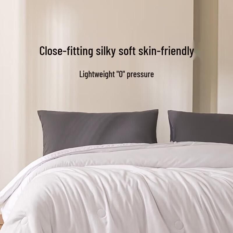 SILKUEEN 100% Tussah Silk Summer Quilt