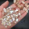 Colored Irregular Punched Shell Slices for DIY Clothing & Handmade Decorations