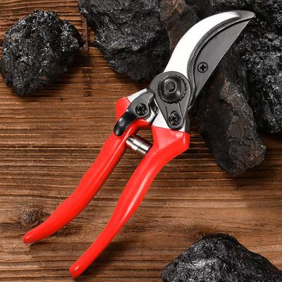 Fruit Tree and Floral Branch Pruning Shears - Garden Tools for Horticulture