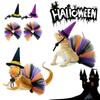 Soft Lizard Witch Costume Set Funny Mini Hamster Witch Hats  Reptile Clothes