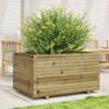 VidaXL Jardinière 90x60x49,5 cm bois de pin imprégné, jardinière d'extérieur, bac à fleurs, bac à tomates, jardinière de 3282568