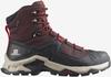 Hiking Shoes Salomon Quest Element GTX