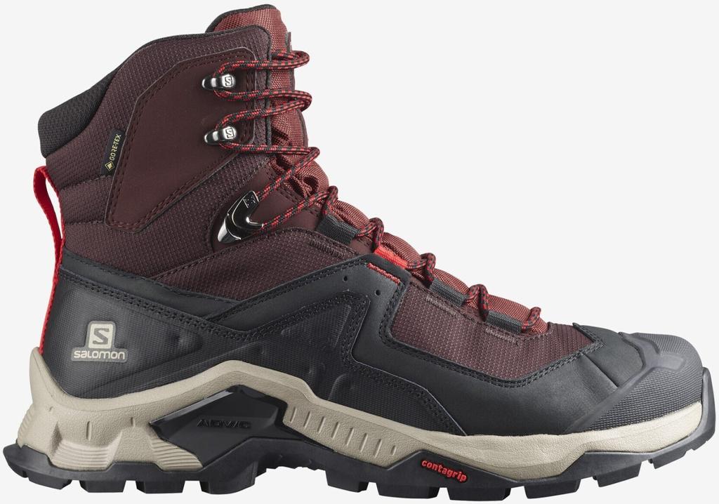 Hiking Shoes Salomon Quest Element GTX