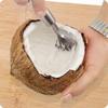 Coconut Meat Scraper Stainless Steel Coconut Planer Coconut Meat Planer Eating Coconut Meat Artifact Fish Scale Planer