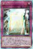 Card True Light Secret QUARTER CENTURY CHRONICLE PRIDE Continuous Trap Card 25th Secret Rare Yu-Gi-Oh! (25th Rare) Side (QCCP)