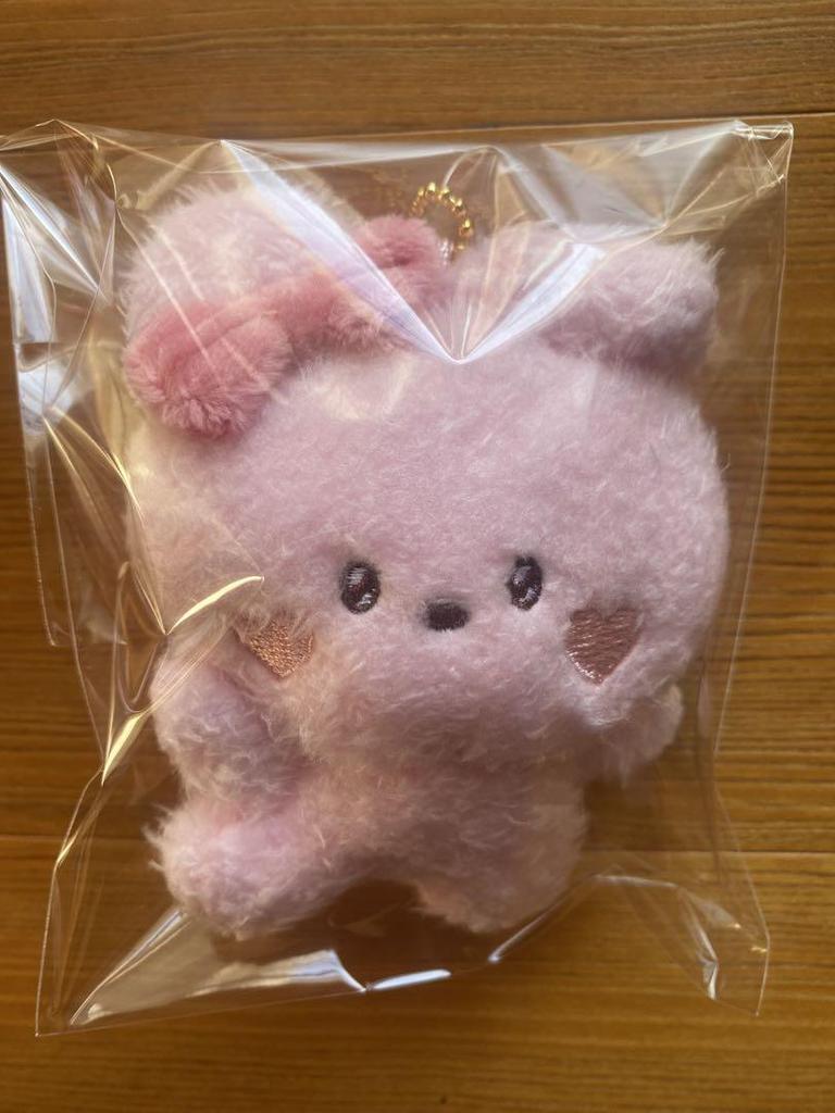 [USED] BT21 minini PLUSH KEYRING LOVELY COOKY