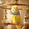 Adjustable Parrot Necktie Striped Pet Bird Tie Cute Parrot Collar  Dress-up Accessory