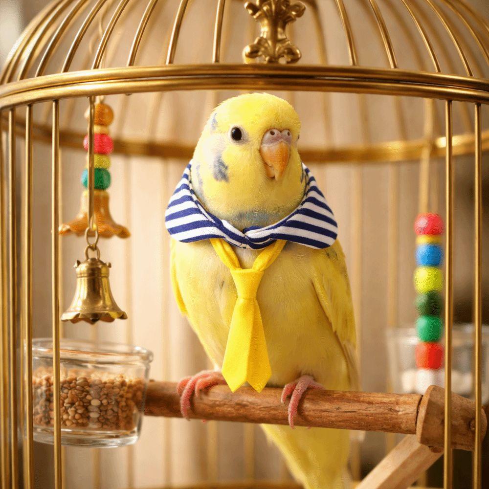 Adjustable Parrot Necktie Striped Pet Bird Tie Cute Parrot Collar  Dress-up Accessory