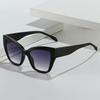 Cat Eye Shape Women's Sun Glasses European American Fashion Women Glasses Holiday Travelling Outdoor Sun Glass