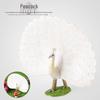 Children's Cognitive Wild Birds Animal Models - White & Green Peacock Desktop Ornaments