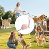 Retractable Dog Lead Rechargeable Anti-Slip Retractable 8.2Ft Outdoor Pet Walking Leads For Kitten Small Medium Outdoor Walking