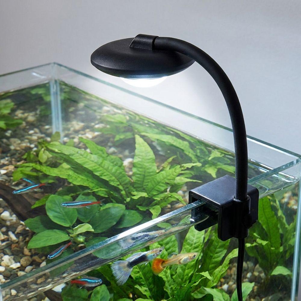 Full Spectrum Fish Tank Clip Lamp Adjustable Brightness Flexible Stem Aquatic Plant Grow Light Color-changing Eye-friendly