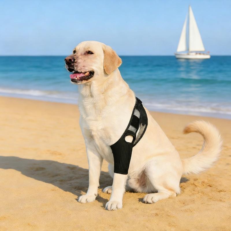 Adjustable Compression Dog Knee Brace Support Cover For Rear Leg Stability During Running Jumping And Play