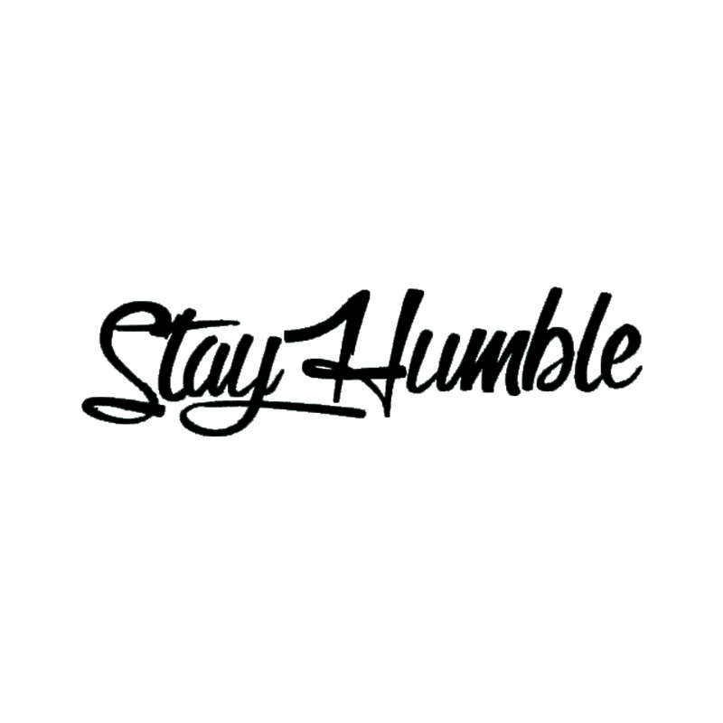 DS16# 30x8cm Fantasy Humor Matte Car Decal - Embroidered, Easy-Apply, Durable Windshield Sticker