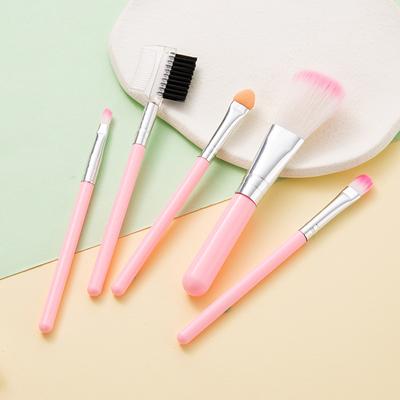 5Pcs Makeup Brush Set Portable Blush Brush Pink Makeup Brush Eyeshadow Brush