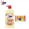 Ginger Scented Dish Soap & Lemon Laundry Soap Combo