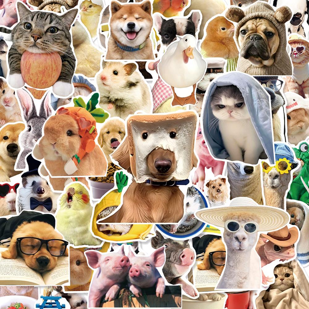 10/30/50pcs Cute Cat Dog Cartoon Stickers Funny Animal Meme Decals DIY Phone Laptop Waterproof Graffiti Decals Toys