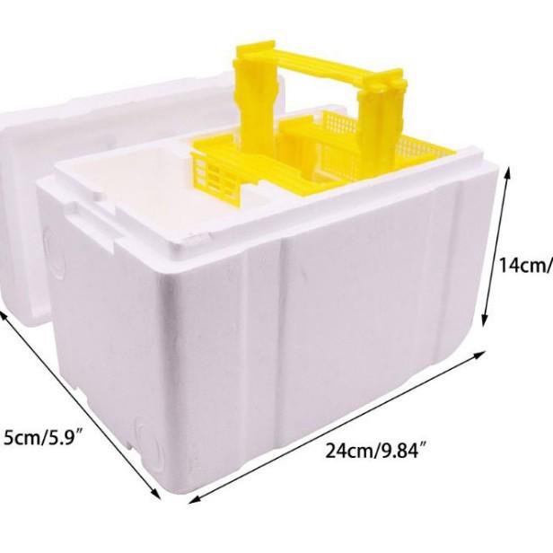 Foam Mini Queen Rearing Box with 3-Frame Beehive and Feeder - Beekeeping Tools