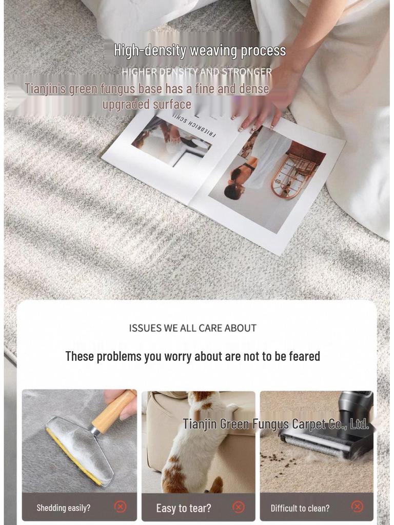 Antibacterial Waterproof Wash-Free Minimalist Luxury Living Room and Bedroom Rug