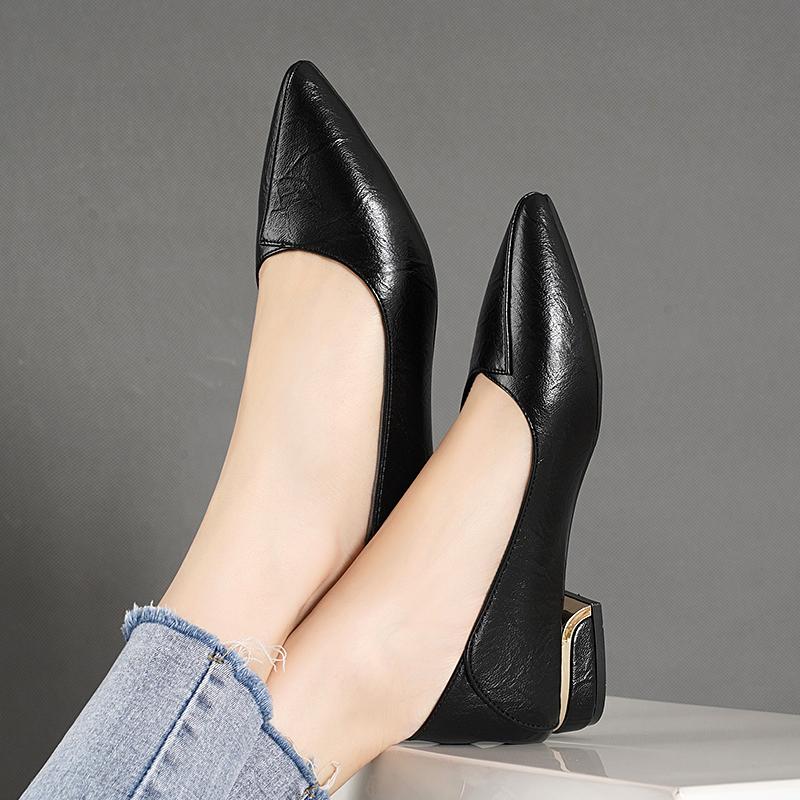 2025 Spring and Autumn New Pointed Toe Single Shoes Women Thick Heel Shallow Mouth Professional All-match Women's Shoes