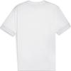 Puma Logo Regular Sleeve Round Neck Pullover Short Sleeve T-Shirt Men T-Shirts White 705747-04