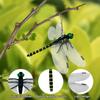 Simulation Dragonfly Mosquito Repellent Mini Dragonfly Ornament Simulation Dragonfly Animal Model For Outdoor Garden Farm