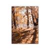 Autumn Scenery Canvas Painting Poster Pumpkin Leaves HD Printing Wall Art Picture Print Living Room Bedroom Home Decoration