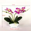 Green Plant Phalaenopsis Bonsai Ornaments For Home Office Special Occasion