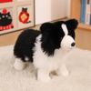 Realistic Border Collie Stuffed Plush Toy Soft Lifelike Dog Doll for Pet Play Companion Kids Christmas Gift