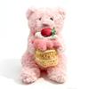 Pink Barcelona Cake Bear Plush Toy Ornament Peach Birthday Cake Plush Pink Bear Comfort Plush Birthday Gift