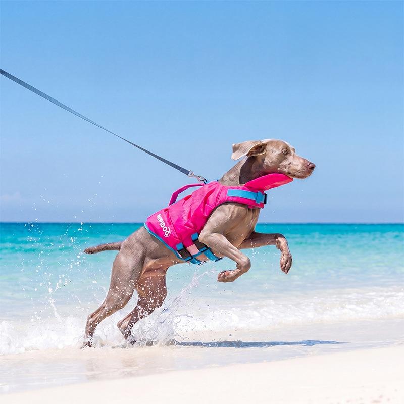 Chaleco Salvavidas para Perro Natación Fuerte Flotabilidad Traje de Baño para Mascota Verano Seguridad Chaleco Salvavidas Para Dachshund Chihuahua Teddy Ropa de Piscina Exterior (Rose Red,XS) rojo rosa