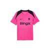 Chelsea FC Dri-Fit FW24 Vintage Cuello Redondo Tejido Cómodo Manga Corta Camiseta de Fútbol Hombre Tops Rosa FQ2607-659
