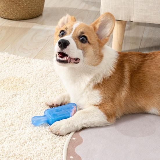 Pet Toy Cartoon Popsicle Bone Shape Bite-Resistant Plush Squeaky Dog Toy Tooth Cleaning Interactive Chew