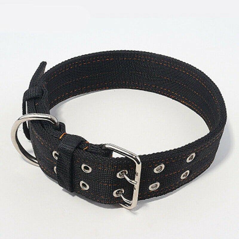 giant breed collars