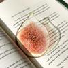 Marque-page en acrylique en forme de fruit Pomme Raisin Simulation Marque-page de lecture transparent Papeterie d'apprentissage Jouet pour enfants Cadeau