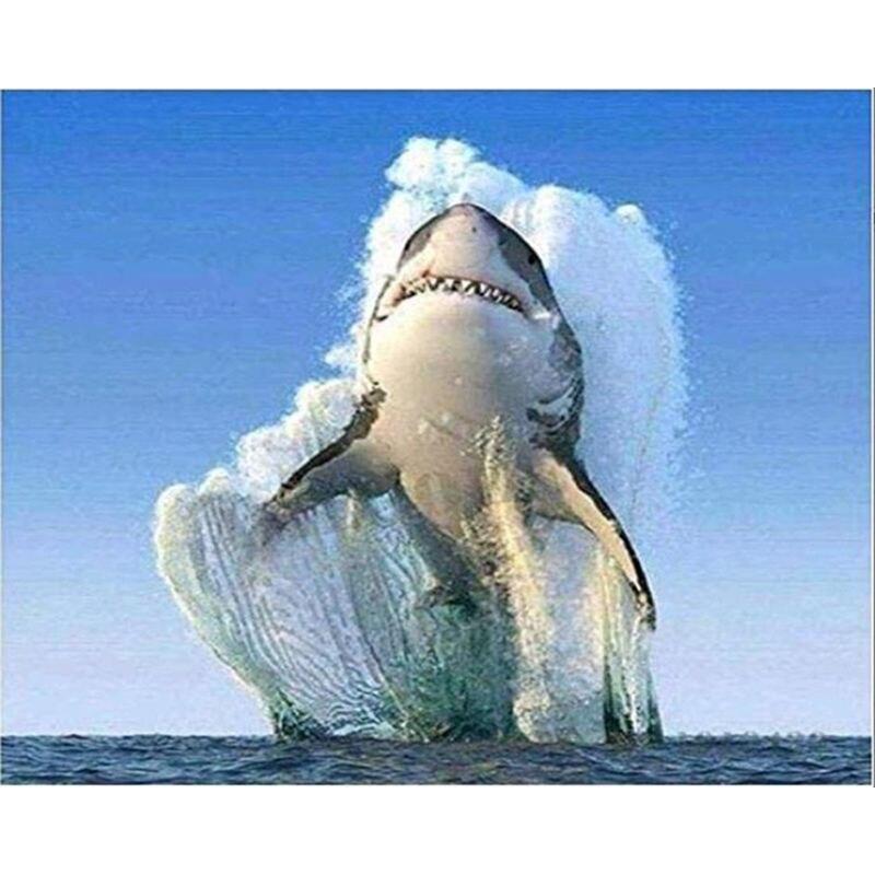 5D Diy Diamond Painting Set Animal Shark Pictures Of Rhinestones Embroidery Mosaic Cross Stitch Home Decor 40x50cm