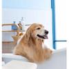 Quick-Dry Thick Pet Bath Towel for Cats & Dogs - Same Day Shipping