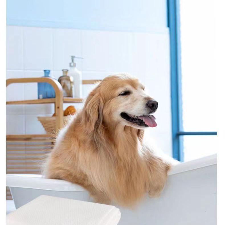 Quick-Dry Thick Pet Bath Towel for Cats & Dogs - Same Day Shipping