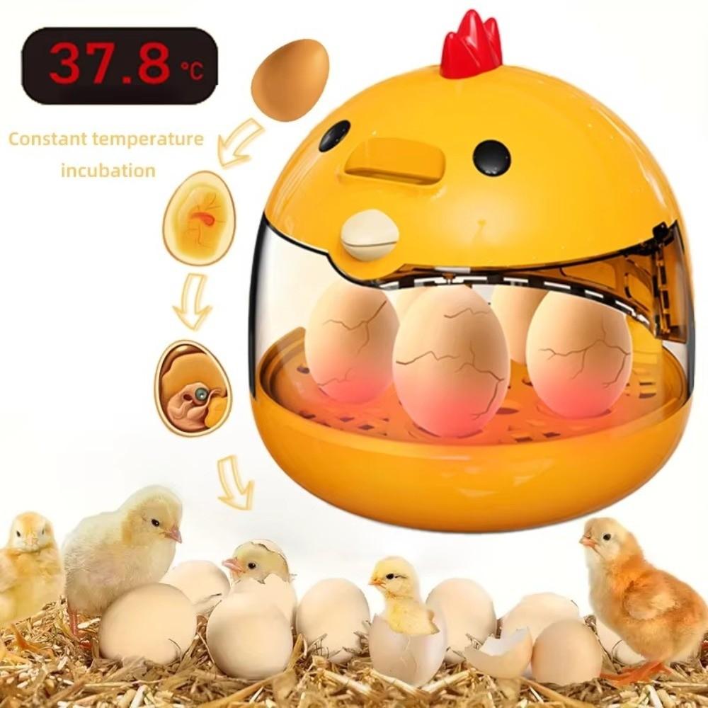 Transparent Window Eggs Incubator Humidity Control Automatic Temperature Control Eggs Hatcher Machine Sturdy Low Noise