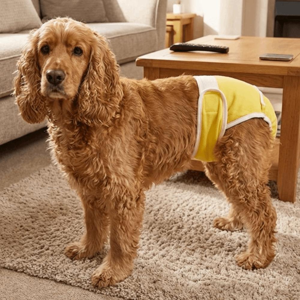 Adjustable Pet Diapers Leak-proof Dog Sanitary Panties Dog Physiological Pants  Pet Menstruation