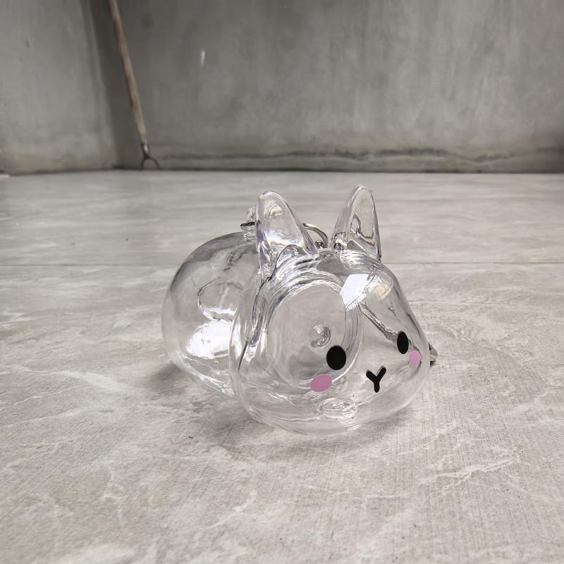 

1*Cartoon Pet Hair Memorial Transparent Storage Box Keyring Cute Animal Rabbit Fur Organizer Keychain Bag Pendant Pet Souvenirs